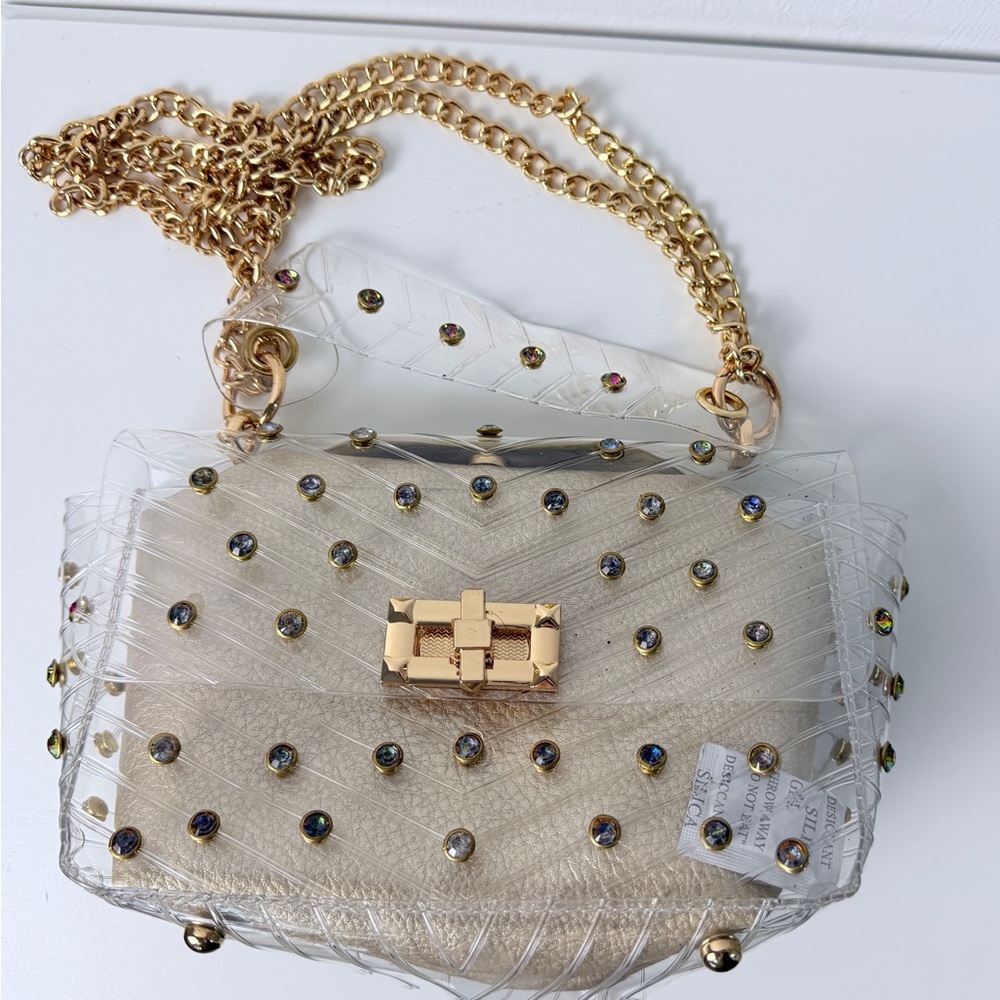 Clear Acrylic Studded Clutch Purse Gold Chain Strap Transparent Evening Bag